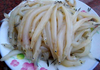 面條魚如何保存？面條魚怎么保存