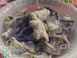 癩蛤蟆能吃嗎？癩蛤蟆可以吃嗎