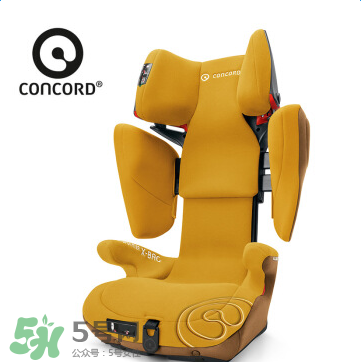 concord中文是什么？concord的中文名字怎么翻譯？