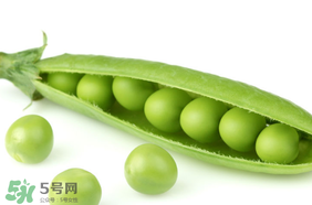 生豌豆有毒嗎？豌豆生吃有毒嗎？