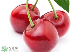 新鮮櫻桃如何保存？新鮮櫻桃能放多久？