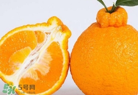 丑八怪水果多少錢一斤？不知火雜柑一斤多少錢