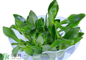 救心菜有毒嗎？救心菜怎么吃沒毒？