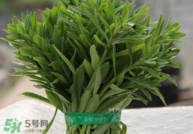 救心菜有毒嗎？救心菜怎么吃沒毒？