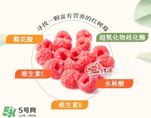 樹莓可以生吃嗎？樹莓怎么吃？