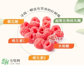 樹莓怎么保存？樹莓保存方法