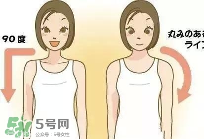 天鵝臂是什么？天鵝臂有用嗎