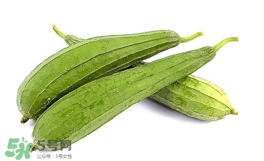 孕婦能吃絲瓜嗎？孕婦能不能吃絲瓜