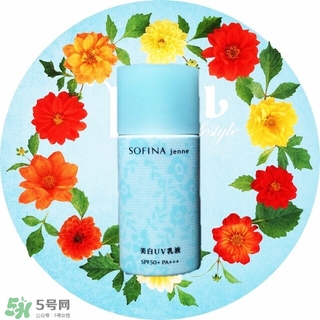 蘇菲娜藍(lán)蕾絲和藍(lán)小花哪個(gè)好？蘇菲娜藍(lán)蕾絲和藍(lán)小花對比