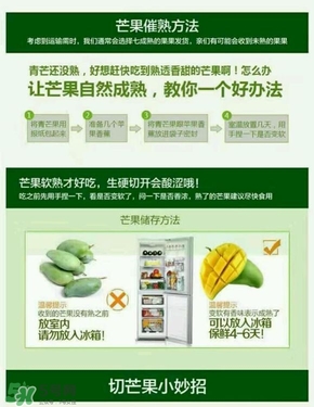 貴妃芒果硬的能吃嗎？貴妃芒果青的能吃嗎