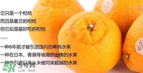 丑八怪水果多少錢一斤？不知火雜柑一斤多少錢