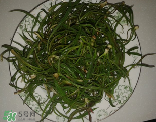 陽溝菜孕婦可以吃嗎？孕婦能吃陽溝菜嗎？
