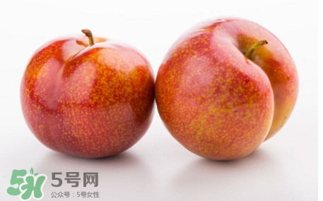 三華李什么時(shí)候有？三華李是幾月份上市