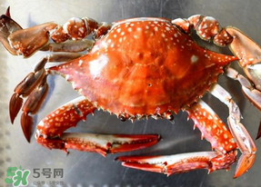 六月份有螃蟹嗎？六月份吃什么螃蟹？
