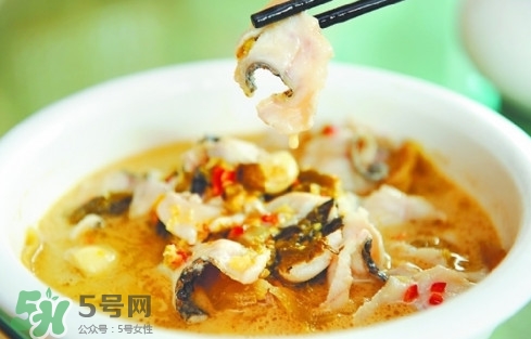 黑魚怎么切片？黑魚如何切魚片