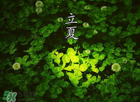 立夏吃什么水果？立夏吃什么水果好？