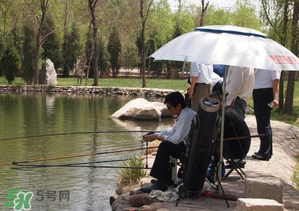 立夏好釣魚嗎？立夏怎么釣魚？