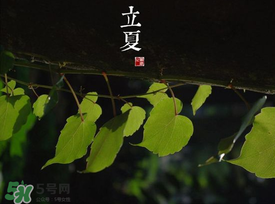 2017年立夏會下雨嗎？2017年立夏下雨好嗎？