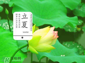 2017年立夏會下雨嗎？2017年立夏下雨好嗎？