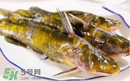 嘎魚怎么做最好吃？嘎魚的做法大全