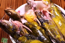嘎魚孕婦能吃嗎？孕婦可以吃嘎魚嗎