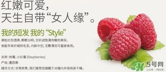 樹莓可以放冰箱嗎？樹莓可以保存幾天