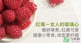 樹莓可以放冰箱嗎？樹莓可以保存幾天