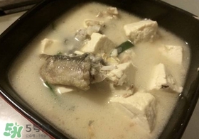 黑魚(yú)能和豆腐一起吃嗎？豆腐可以和黑魚(yú)一起吃嗎