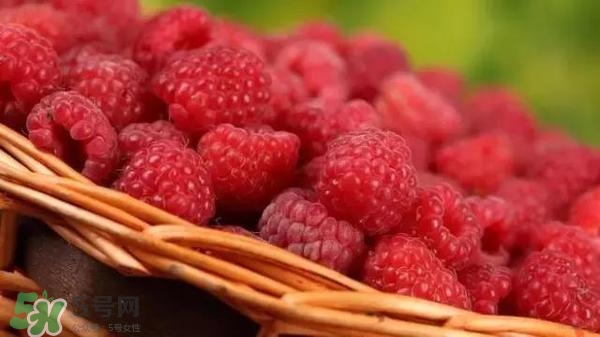 樹莓可以直接吃嗎？樹莓里的小籽能吃嗎？