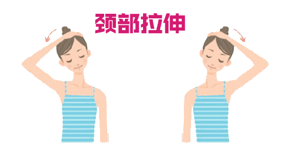 天鵝頸是什么樣的？天鵝頸怎么練？