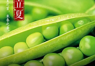 立夏吃什么好？立夏吃什么蔬菜？