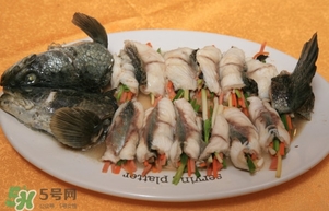 生魚是什么魚？生魚片是什么魚