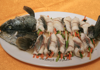 生魚是什么魚？生魚片是什么魚