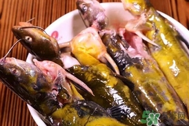 嘎魚是鯰魚嗎？嘎魚是黃辣丁嗎