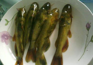 嘎魚是海魚嗎？嘎魚是什么魚