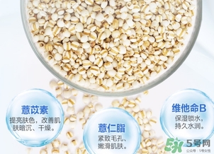 薏仁水可以天天敷嗎？薏仁水幾天敷一次？