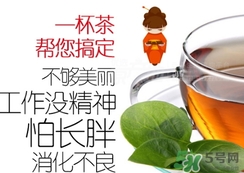 脂流茶成分 脂流茶可以減肥嗎？