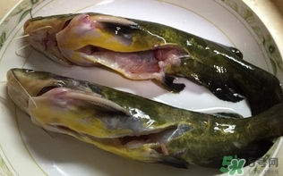 黃辣丁一斤多少錢？黃辣丁價格