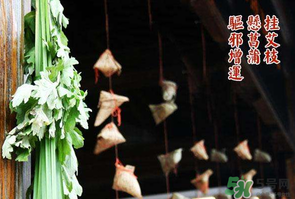 端午節(jié)為什么掛艾草？端午節(jié)掛艾草的由來