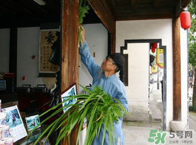 端午節(jié)門上掛的那個草叫什么？端午節(jié)掛門上的叫什么？