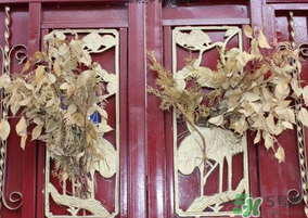 端午節(jié)門上掛的那個草叫什么？端午節(jié)掛門上的叫什么？