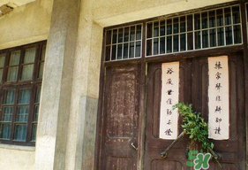 端午節(jié)插門(mén)上的是什么？端午節(jié)為什么要插艾草？