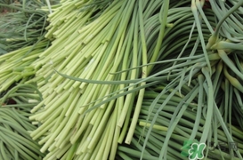 蒜薹怎么保存？蒜薹如何保存