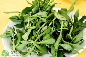 養(yǎng)心菜能生吃嗎？養(yǎng)心菜怎么吃？