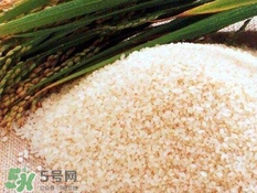 包粽子的米要泡多久？包粽子的米是什么米？