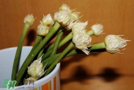 蒜薹可以放冰箱嗎？蒜薹可以冷凍嗎