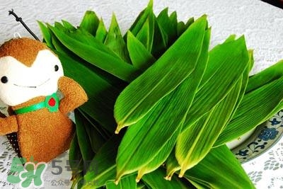 包粽子的葉子叫什么？包粽子的葉子怎么處理？