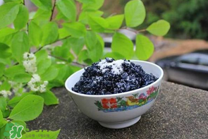 烏飯用什么葉子煮？烏飯用什么葉子圖片？