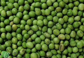 青豆可以打豆?jié){嗎？青豆能做豆?jié){嗎？