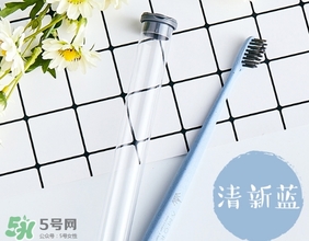 amortals爾木萄牙刷怎么樣？amortals爾木萄牙刷多少錢？